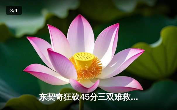 东契奇狂砍45分三双难救主，独行侠加时憾负凯尔特人总分0-2落后 - 3